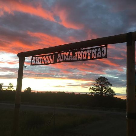 Lupine Cabin, Glamour Camping, Stunning Skies And Sunrise Views Monticello Exterior photo